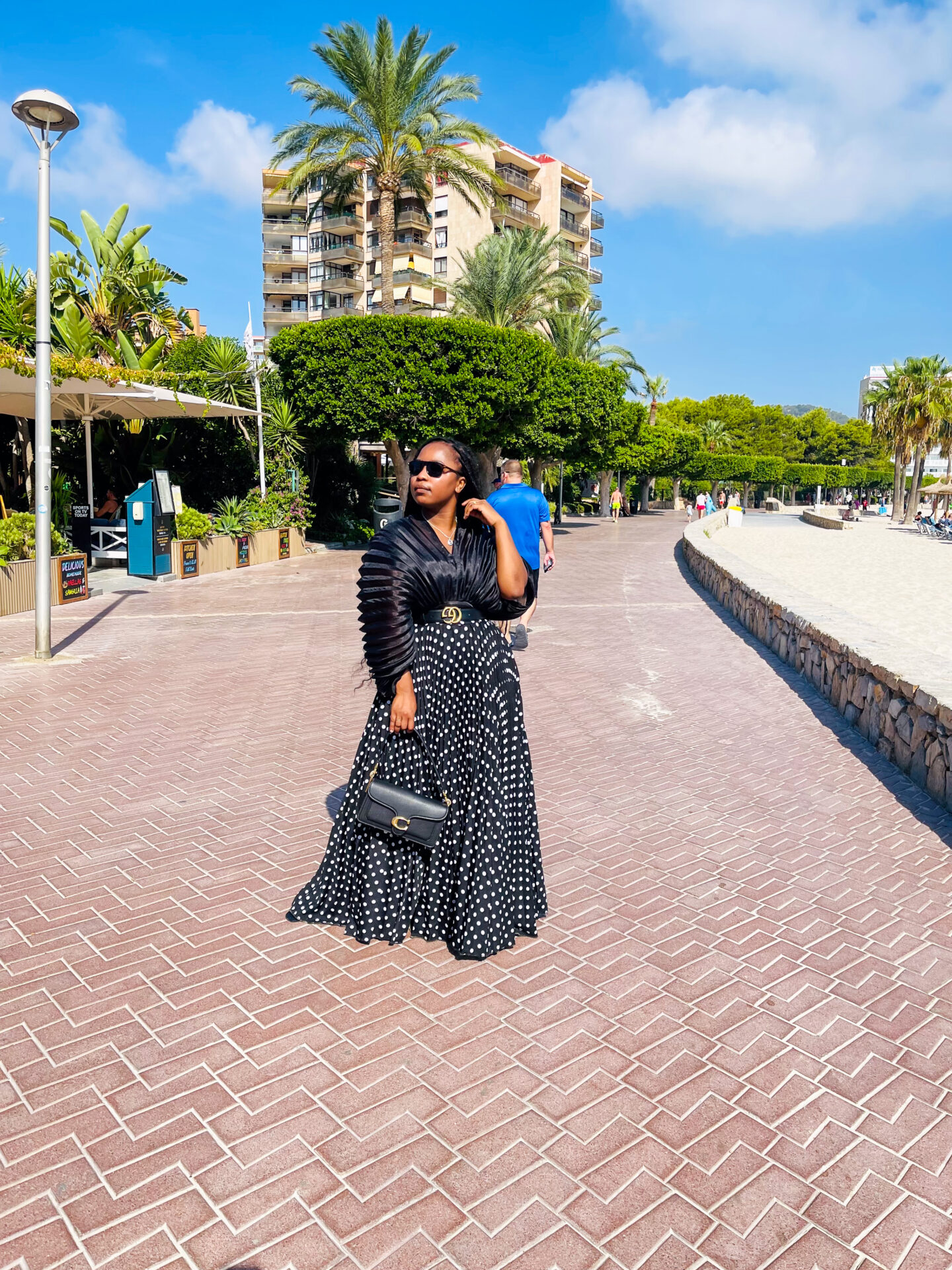 Black pleated organza top 